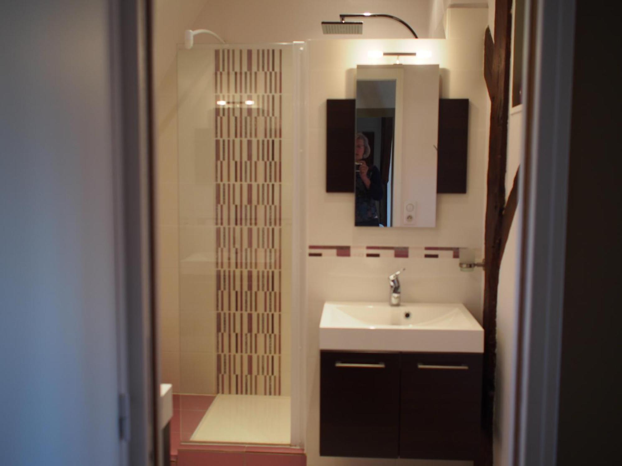 Manoir Du Rouvre Hotell Mettray Rum bild